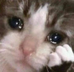 1790391407053.png 1790391407053.png