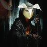 Black Owl