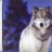 Wotan DarkWolf