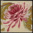 MrEdward021